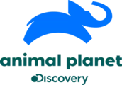 Animal Planet